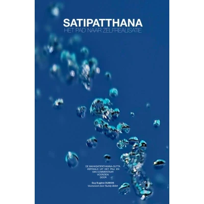 Afbeelding van Satipatthana