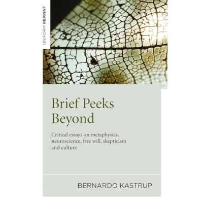 Afbeelding van Brief Peeks Beyond: Critical Essays on Metaphysics, Neuroscience, Free Will, Skepticism and Culture