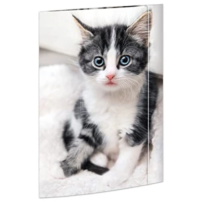Afbeelding van RNKVERLAG 45331 Tekenmap cat 310 x 440 mm DIN A3, met elastiek, 1 st.