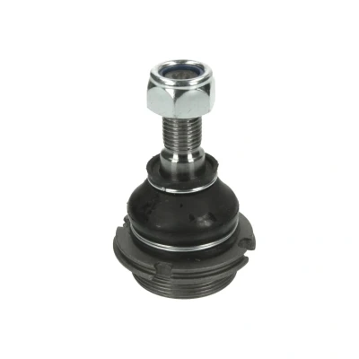 Afbeelding van Moog Fuseekogel PE BJ 3347