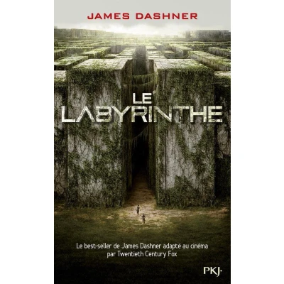 Afbeelding van Le labyrinthe