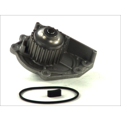 Afbeelding van Thermotec Waterpomp D1K006TT