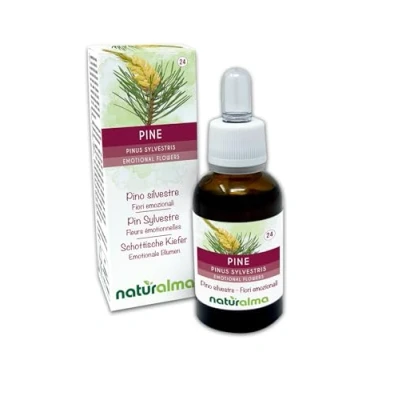 Afbeelding van Pine of Grove den (Pinus sylvestris) Naturalma Bachbloesems Druppels 30 ml alcoholvrij vloeibaar extract Bloesemessences Veganistisch en