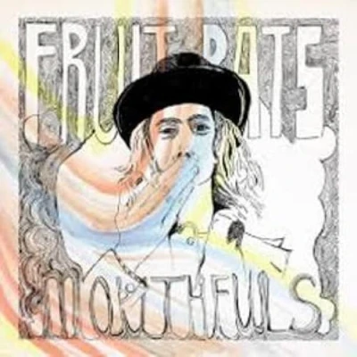 Afbeelding van Fruit Bats Mouthfuls (LP)