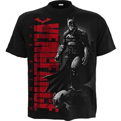 Afbeelding van DC Comics T shirt voor heren, Zwart, S