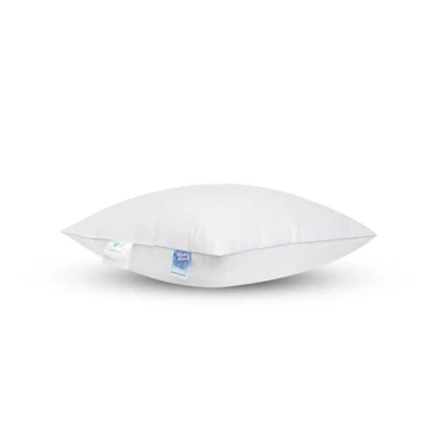 Afbeelding van Dormi Dons Modeleerbaar veren kussen 60x70 cm Krachtige eenden hoofdkussen ouderwets lekker tegen nekklachten