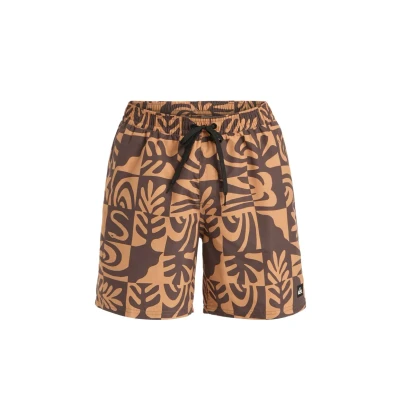 Afbeelding van Quiksilver Everyday Straight Volley 17 Zwemshorts Heren Bruin L