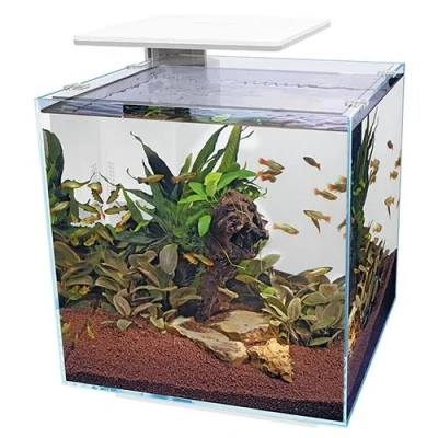 Afbeelding van Superfish QubiQ PRO 60 Wit