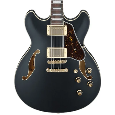 Afbeelding van Ibanez AS73G BKF