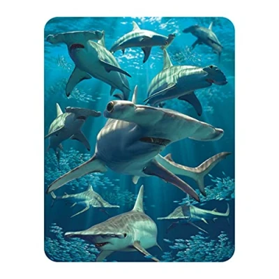 Afbeelding van 3D LiveLife Magneet Hamerhaai van Deluxebase. Lenticulaire Haai Koelkastmagneet. Magnetisch decor voor kinderen en volwassenen met kunstwerk de bekende kunstenaar David Penfound