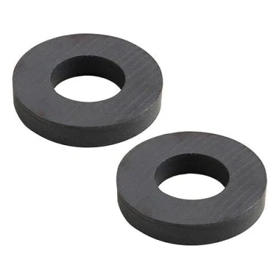 Afbeelding van WOLFPACK LINEA PROFESIONAL Magneet ferriet Ø 45 x 20 8 mm (blister 2 stuks)