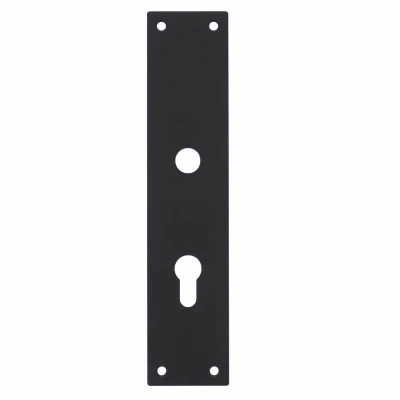 Afbeelding van Intersteel renovatieschild rechthoekig 250x55x2mm profielcilindergat 72mm RVS/mat zwart