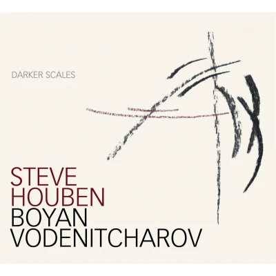 Afbeelding van Steve Houben Darker Scales (CD)