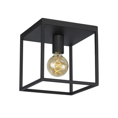 Afbeelding van Plafondlamp Leroy Square