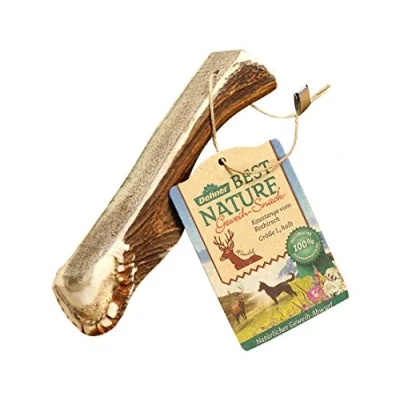 Afbeelding van Dehner Best Nature Hondensnack, kauwstang, rothirsch gewei, half, L, 35 kg (1 stuk)
