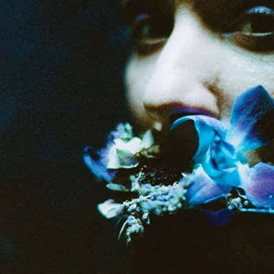 Afbeelding van Circuit Des Yeux Reaching For Indigo