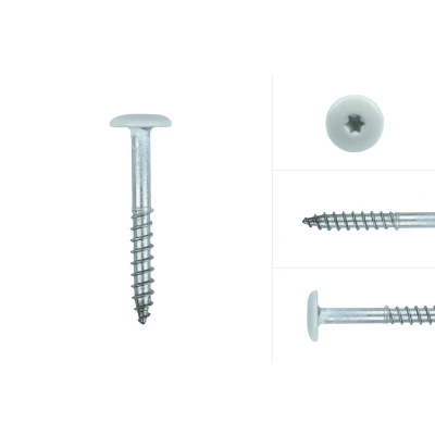 Afbeelding van Kleurkopschroeven Crème rvs 4.8 x 38 mm Doos 100 Stuks