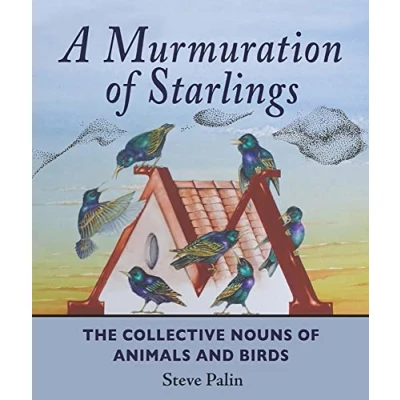 Afbeelding van Murmuration Of Starlings