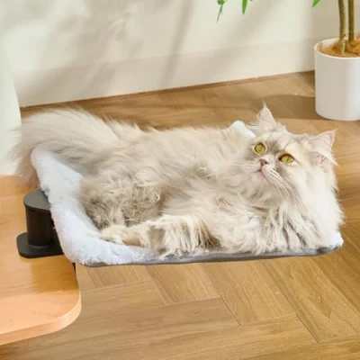 Afbeelding van CATISM Kat Bureaubed Zacht Vierkant Desktop Bed Bureauklem Kitty Bedden tot 55 lbs Perfect Kantoorwerk Deskcat Hangmat Indoor Katten met 2 Huisdieren Matten (Vierkant)