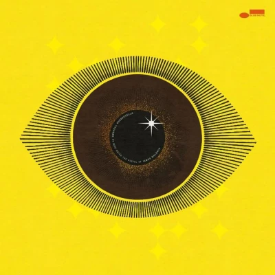Afbeelding van Me&#039;shell Ndegeocello No More Water: the Gospel of James Baldwin (2 LPs)