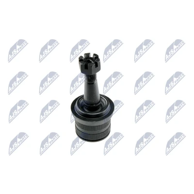 Afbeelding van Fuseekogel NTY ZSD CH 035