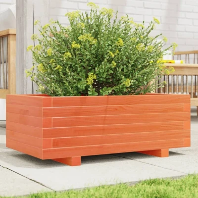 Afbeelding van Plantenbak 70x40x26,5 cm massief grenenhout wasbruin