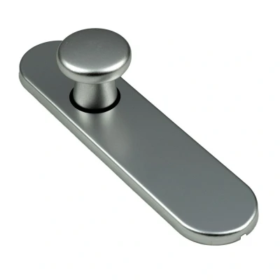 Afbeelding van Ami Knopkortschild diameter knop 40mm ovaal 177x44x6,5mm aluminium F 1