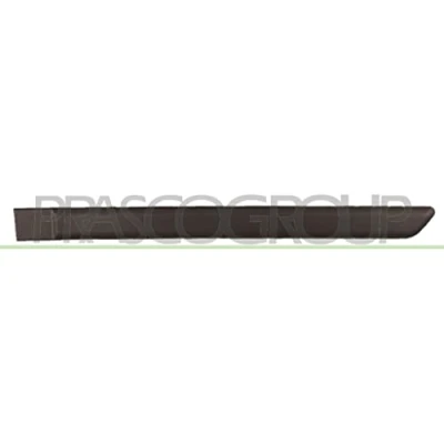 Afbeelding van Sier / beschermingspaneel, deur PRASCO FT1221454