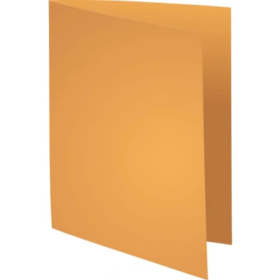 Afbeelding van Exacompta Dossiermap Rock&#039;s 80, Ft 22 X 31 Cm, Pak Van 100, Lichtoranje