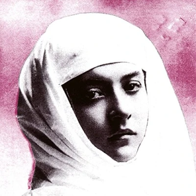 Afbeelding van Protomartyr Relatives In Descent