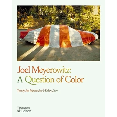 Afbeelding van Joel Meyerowitz: a question of color