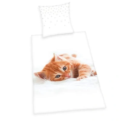 Afbeelding van Beddengoed Young Coll. katten, kussensloop.