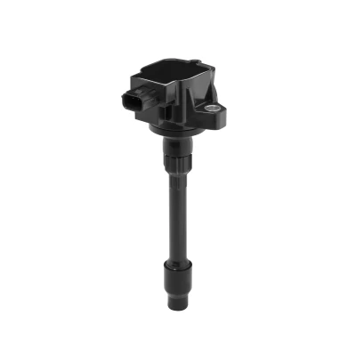 Afbeelding van Bobine BERU ZSE295
