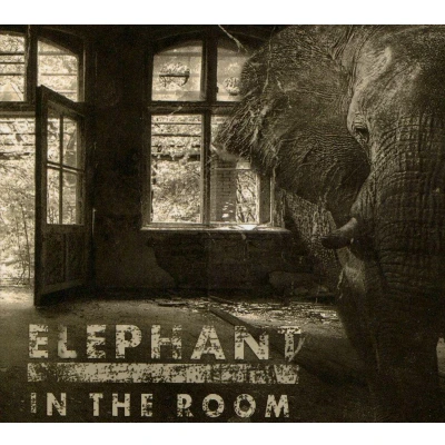 Afbeelding van Blackballed Elephant In The Room (CD)