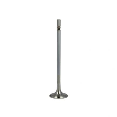 Afbeelding van Uitlaatklep FRECCIA R6525/BMCR