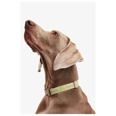 Afbeelding van Dogguo Hondenhalsband DL COLLAR GREEN M