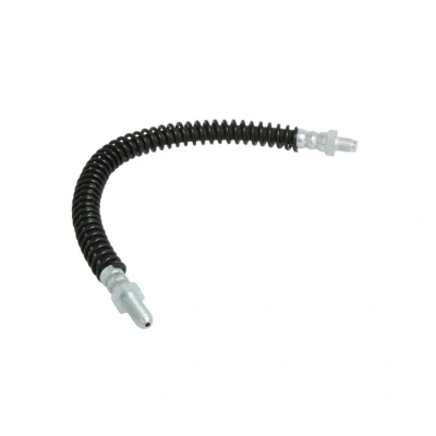 Afbeelding van Delphi Diesel Remslang LH5185