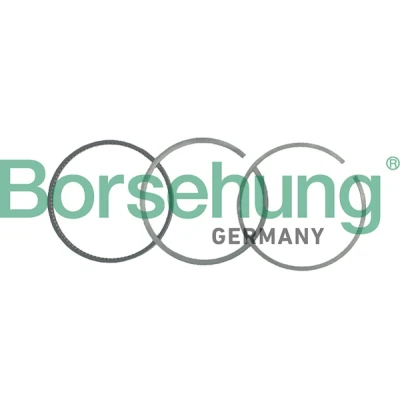 Afbeelding van Borsehung B19054 Zuigerveer