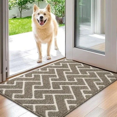 Afbeelding van Biscpro Binnendeurmat, Waterdichte Deurmat, Vuilvangermat, Antislip Binnendeurmat (Beige, 50 x 80 cm)
