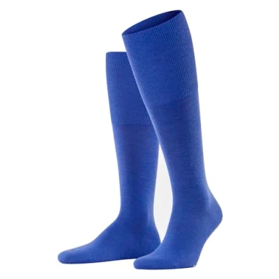 Afbeelding van Falke Airport KH Kniekousen, Heren, Maat: 39/40, Sapphire
