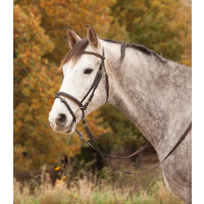 Afbeelding van Star Trenshoofdstel Diamond Engels Combi Bruin/Goud Pony