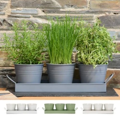 Afbeelding van CKB LTD Kruidenbak keuken Bloempot kruiden plantenbak Binnen Plantenpotjes Set van 3 Grijs Kweekbak Kruidenpot Verse