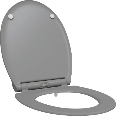 Afbeelding van vidaXL Snelle Release Toiletbril met Zachte Sluiting Duroplast Grijs