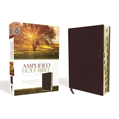 Afbeelding van Amplified Holy Bible, Bonded Leather, Burgundy, Thumb Indexed: Captures the Full Meaning Behind Original Greek and Hebrew