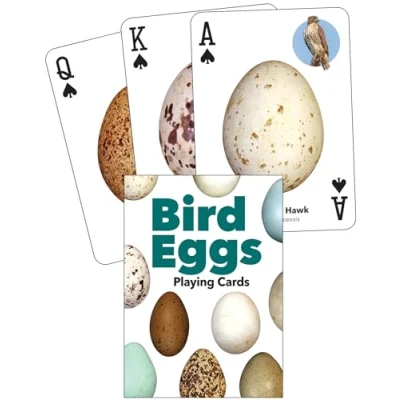 Afbeelding van Bird Eggs Playing Cards