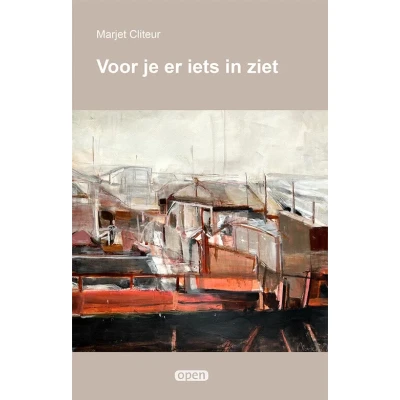 Afbeelding van Voor je er iets in ziet