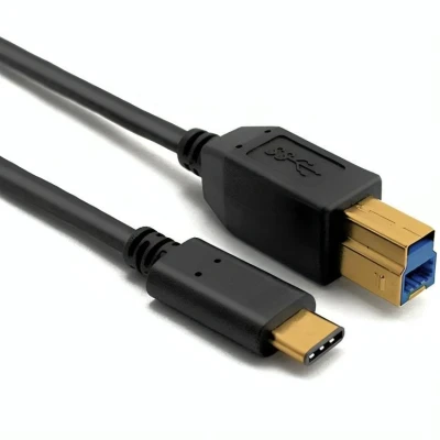 Afbeelding van 2 m USB C naar B kabel
