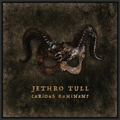 Afbeelding van Jethro Tull Curious Ruminant (LP)