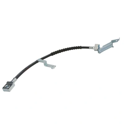 Afbeelding van Delphi Diesel Remslang LH6120