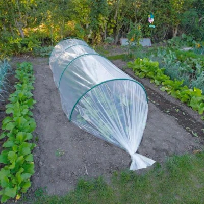 Afbeelding van Groei en afdekfolie Nature (Weerbestendig, 2 x 5 m)